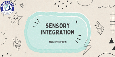 Sensory Integration